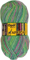 Sokkenwol Africa 100 gram nr 11165 Groen