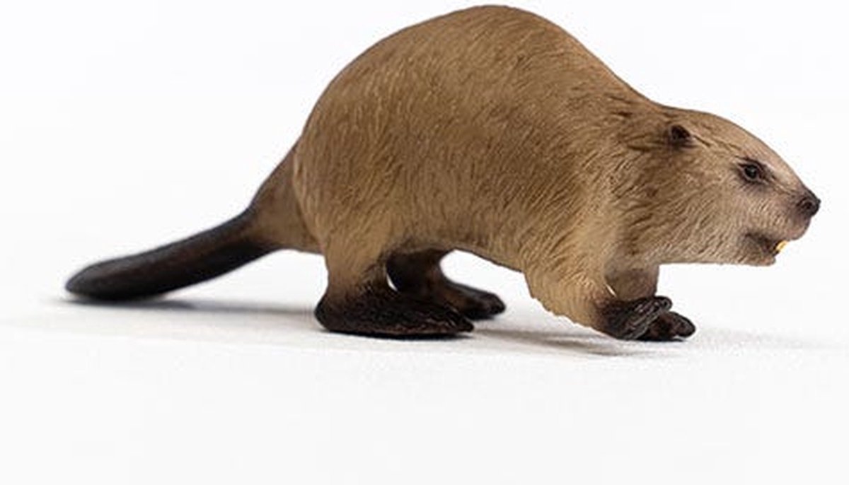 schleich WILD LIFE - Bever - 14855 — afbeelding 7