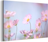 Belles fleurs rose clair Aluminium 90x60 cm - Tirage photo sur Aluminium (décoration murale métal)