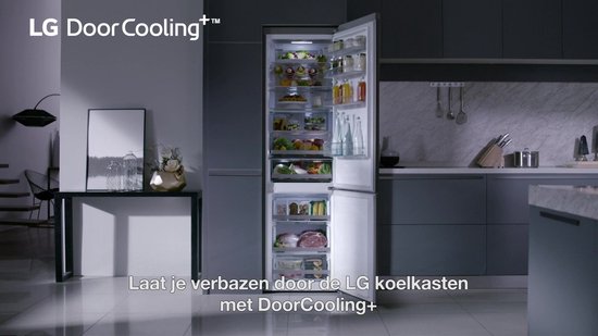 LG GSJV91MCAE Amerikaanse koelkast met DoorCooling+™ - 635L inhoud -  Door-in-Door™ -... | bol.com