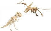 Houten 3D dieren dino puzzel set T-rex en Pteranodon - Speelgoed bouwpakketten