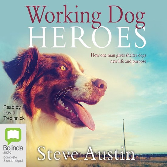 Working Dog Heroes - cover