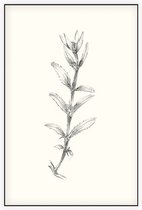 Rozentak zwart-wit Schets (Rose Branch) - Foto op Akoestisch paneel - 100 x 150 cm