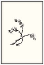 Ulmus Minor zwart-wit (Cornish Elm) - Foto op Akoestisch paneel - 60 x 90 cm