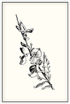Genisteae zwart-wit (Broom) - Foto op Akoestisch paneel - 80 x 120 cm