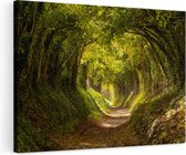 Artaza Canvas Schilderij Pad in het Bos met veel Bladeren - 120x80 - Groot - Foto Op Canvas - Wanddecoratie Woonkamer