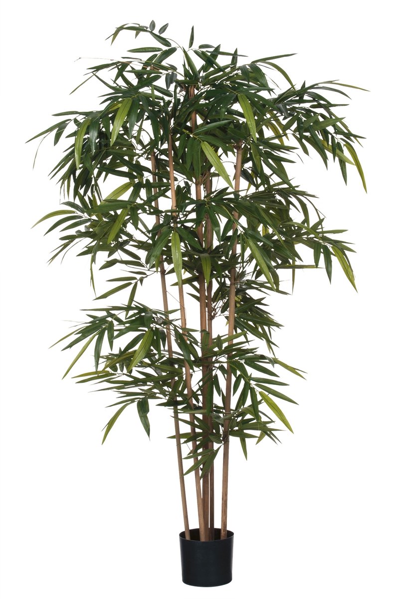 Mica Decorations Kunstplant Bamboe Groen - H 180cm - Kunststof pot - Mica Decorations
