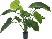 Viv! Home Luxuries Alocasia - kunstplant - 80cm - groen - topkwaliteit Alocasia / Kunststof / groen