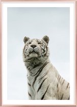 Poster Met Metaal Rose Lijst - Panthera Tigris Poster