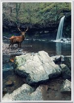 Poster Met Metaal Zilveren Lijst - Waterval Herten Poster