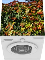 Wasmachine beschermer mat - De kleurrijke Hedera bladeren op een muur - Breedte 60 cm x hoogte 60 cm