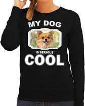 Chihuahua honden trui / sweater my dog is serious cool zwart - dames - Chihuahuas liefhebber cadeau sweaters XS