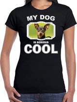 Dwergpinscher honden t-shirt my dog is serious cool zwart - dames - Dwergpinschers liefhebber cadeau shirt S