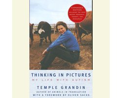 Thinking in Pictures
