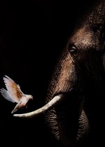 Olifant met duif op Aluminium - WallCatcher | Staand 50 x 75 cm | Elephant with Pigeon