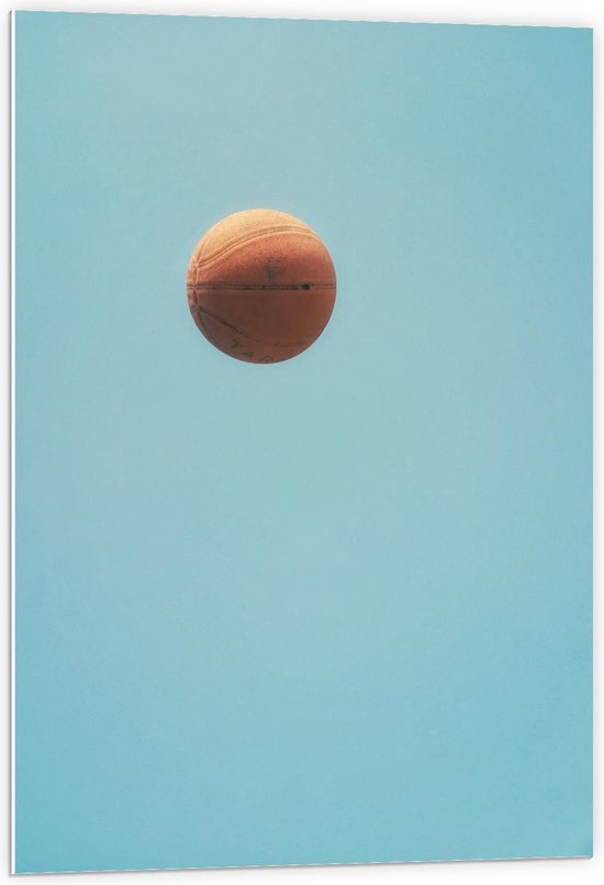 Forex - Basketbal in Heldere Lucht - 60x90cm Foto op Forex