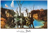 Kunstdruk Salvador Dali - Reflections of Elephants 80x60cm