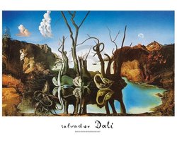 Kunstdruk Salvador Dali - Reflections of Elephants 80x60cm