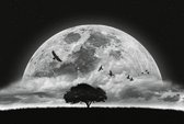 Fotobehang - Moon and Birds 384x260cm - Vliesbehang