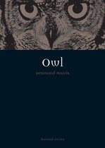Animal - Owl