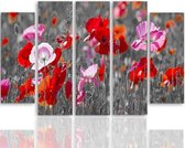 Schilderij , Klaprozen , 4 maten , 5 luik , multikleur , Premium print , XXL
