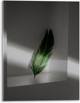 Acrylglas - Groene Veer - 30x40cm Foto op Acrylglas (Met Ophangsysteem)