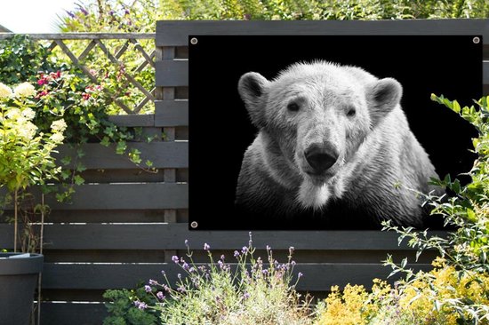 Décoration murale Ours polaire - Animal - Zwart - Wit - 180x120 cm - Poster jardin - Toile jardin