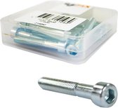 Inbusbout M6 x 40 Bofix RVS (12 stuks)