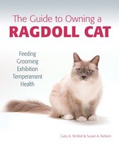 The Guide to Owning a Ragdoll Cat