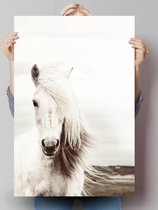 Poster Wit Paard 91,5x61 cm