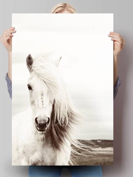 Poster White Horse 91,5x61 cm