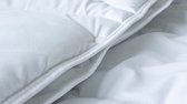 Beter Bed rPET Gerecycled Synthetisch Dekbed - 4-Seizoenen - Gerecycled Plastic - 240x220 cm