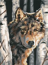Wolf tussen de bomen Schilderen op nummer