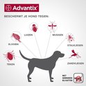 Advantix beschermt je hond tegen vlooien, teken, luizen, muggen, stalvliegen en zandvliegen. Niet gebruiken bij katten.