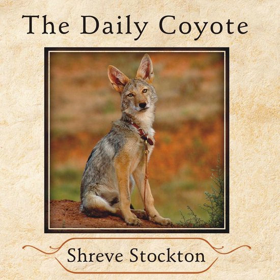 The Daily Coyote - cover