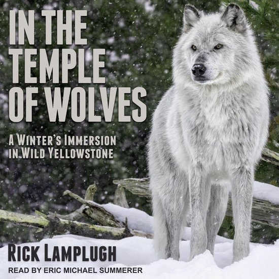 In the Temple of Wolves - cover
