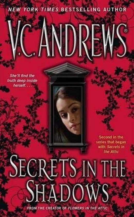 The Secrets Series - Secrets in the Shadows - cover