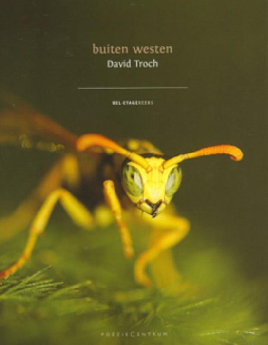 Cover van het boek 'Buiten westen'