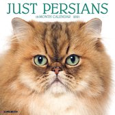 Just Persians 2021 Calendar