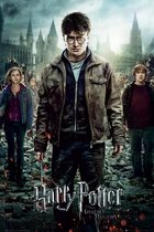 GBeye Harry Potter 7 Part 2 Deco Panel 60x90cm