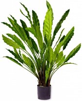 Kunstplant Calathea  80 cm