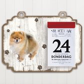 Scheurkalender 2023 Hond: Keeshond Dwerg