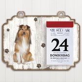 Scheurkalender 2023 Hond: Shetland Scheepdog(Sheltie)