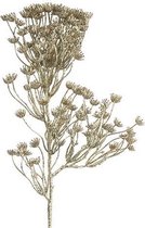 Cf Label Kunstbloem 17 X 70 Cm Zijde Champagne