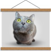 Schoolplaat – Nieuwsgierige Kat - 40x30cm Foto op Textielposter (Wanddecoratie op Schoolplaat)