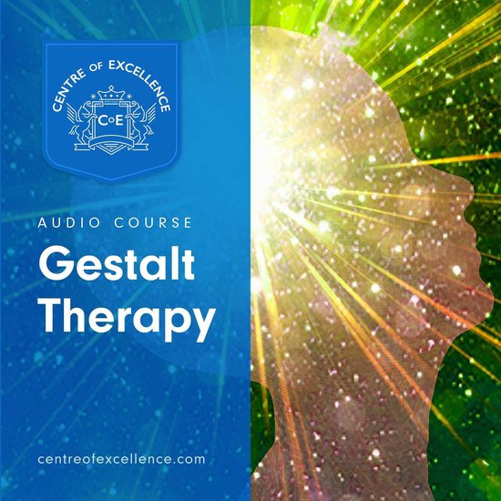 Gestalt Therapy, Centre Of Excellence 9781982719449 Boeken