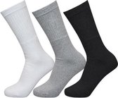 Chaussettes de sport Reydon Exceptio 3 paires de polycoton Zwart/ gris / blanc Taille 31-36
