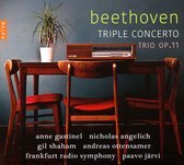 Gastinel & Shaham & Angelich & Otte - Triple Concert Trio Op.11 (CD)