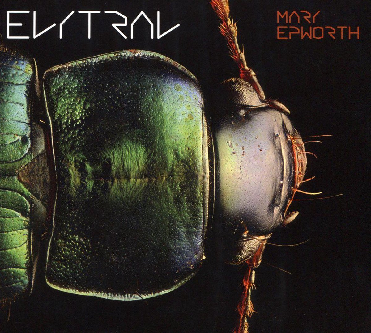 Elytral