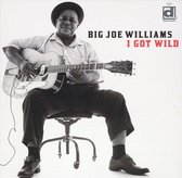 Big Joe Williams - I Got Wild (CD)